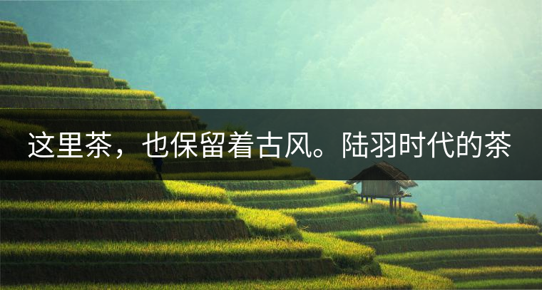 這里茶，也保留著古風(fēng)。陸羽時代的茶，是要加鹽巴的，并非清飲。今天牧民的茶，除了有鹽巴，還有動物奶、酥油、草果、姜片、花椒、面食、油炸等等，這是個人與家庭口感決定，也受時令的影響。比如加辣椒，就是在冬天最冷的時候，可以幫助驅(qū)寒。加鹽巴卻是常態(tài)化，尤其待客的時候，當(dāng)?shù)刂V語說，“人沒錢鬼一般，茶沒鹽水一般，肉沒蒜味一半。”
