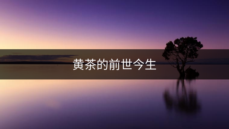 黃茶還能復興嗎? 黃茶還能復興嗎?