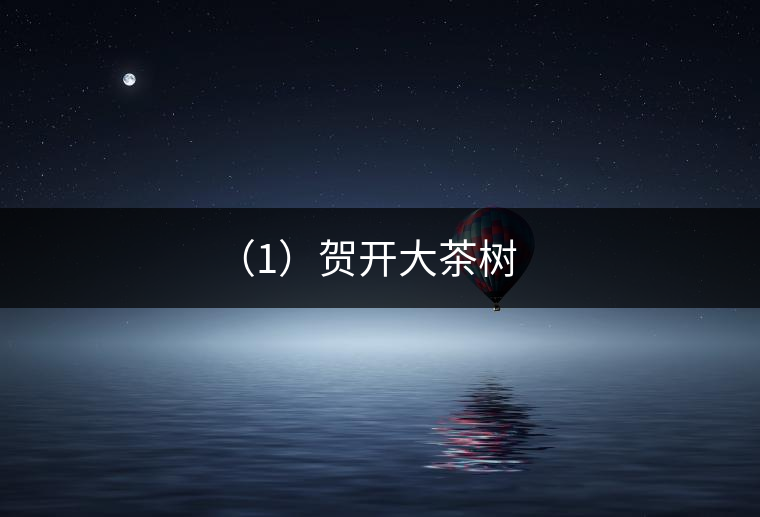 具有代表性的大茶樹有 具有代表性的大茶樹有