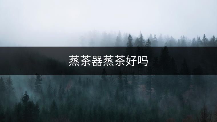 蒸茶器蒸茶好嗎 蒸茶器蒸茶好嗎