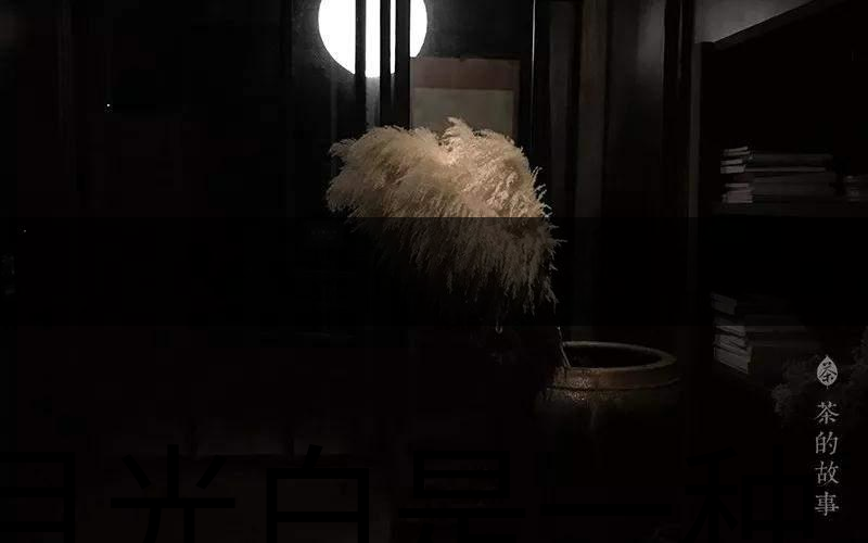 月光白是一種什么茶? 月光白是一種什么茶?