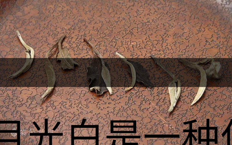 月光白是一種什么茶?-1 月光白是一種什么茶?-1