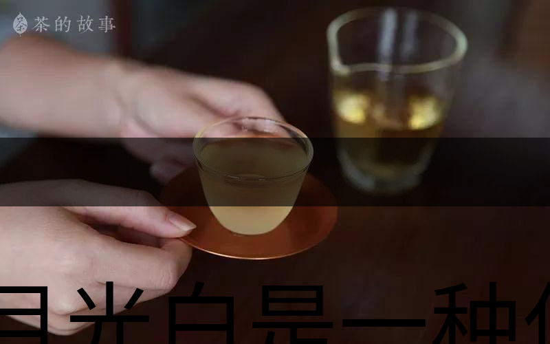 月光白是一種什么茶?-2 月光白是一種什么茶?-2