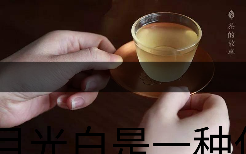 月光白是一種什么茶?-3 月光白是一種什么茶?-3