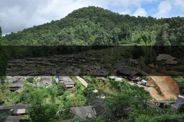 云南省瀾滄縣茶業概況簡述（第四章）