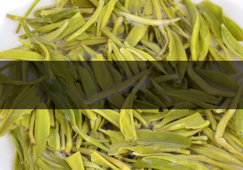 毛尖可以放多久-怎么保存好 毛尖可以放多久-怎么保存好