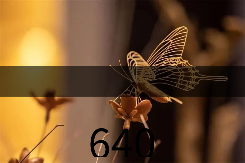 640 640