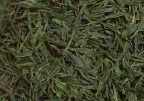 什么是海青茶?沖泡手法詳細教學!