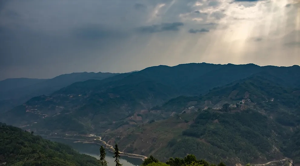 2021年磨烈：風頭正勁的后起之秀，到底有何特點？