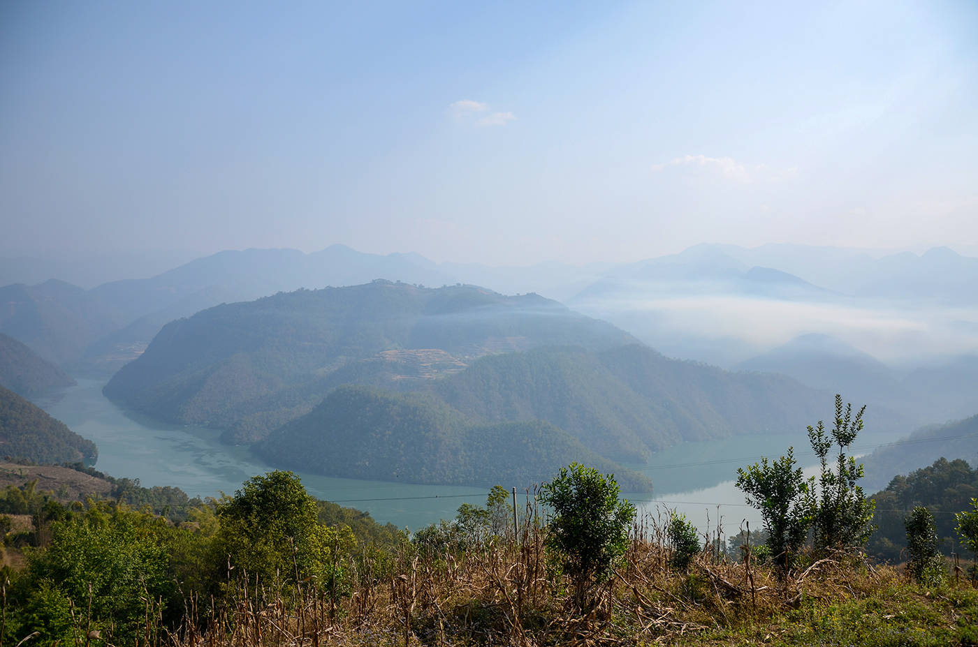 2021年白鶯山古樹秋茶，佛茶有什么魅力？