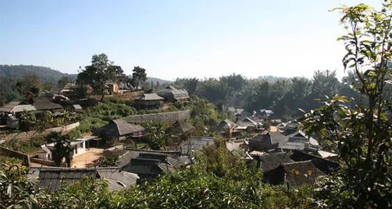 2021年班章茶區壩卡竜古樹秋茶多少錢一公斤？