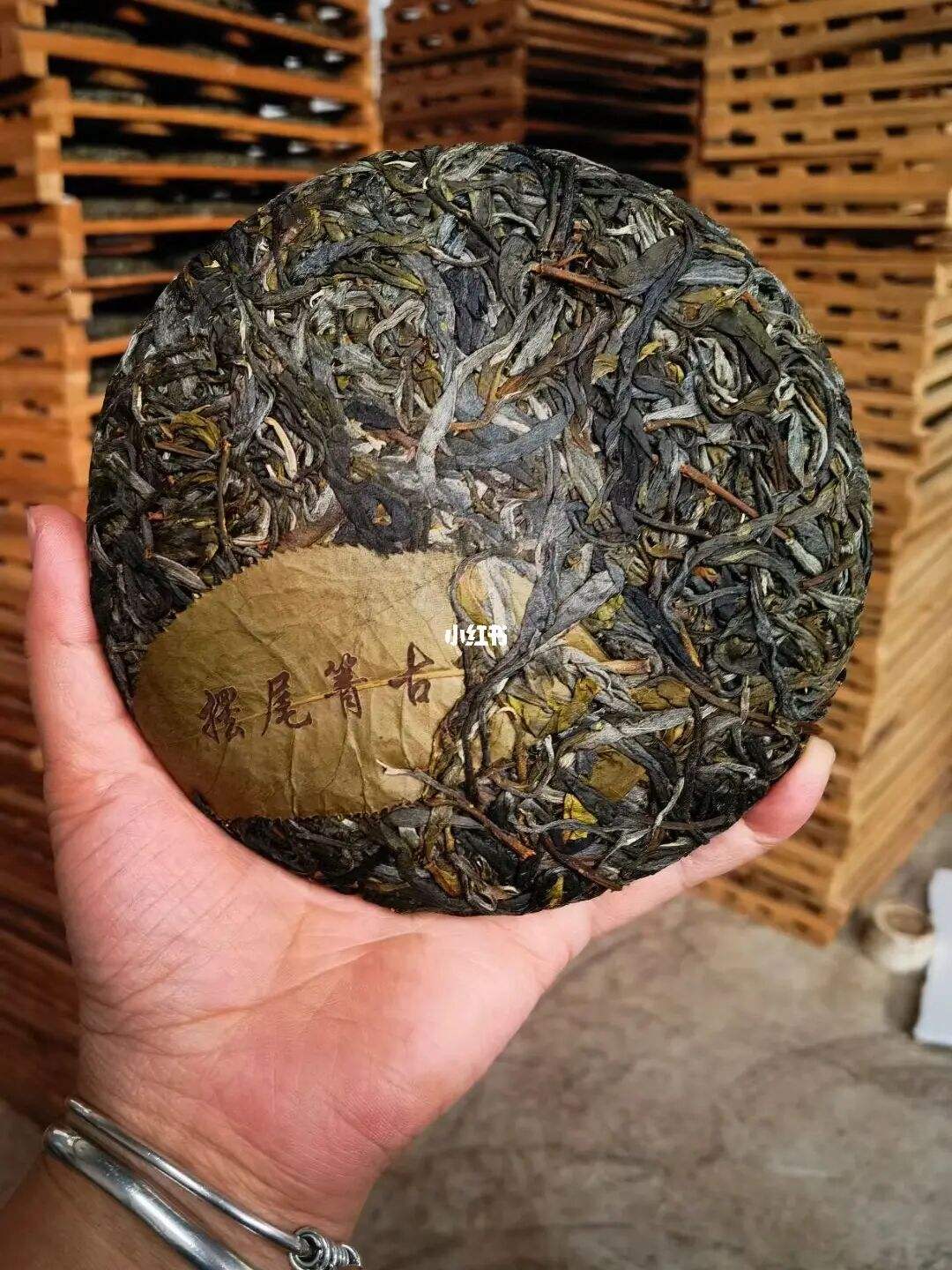 2022年寧洱 擺尾箐古樹春茶價格？