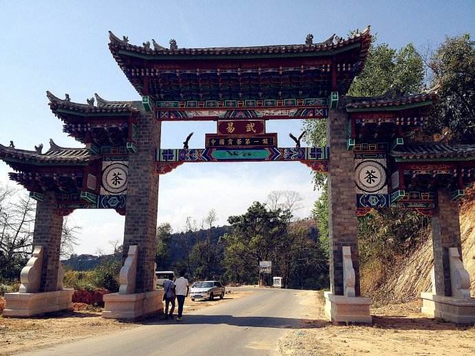 2022年易武正山古樹春茶價格？