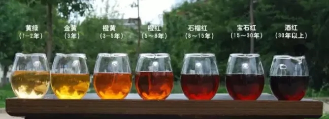2022年普洱茶的茶湯湯色要怎么描述?