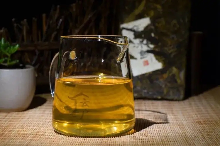 有茶油的普洱茶正常嗎？茶油是如何形成的？