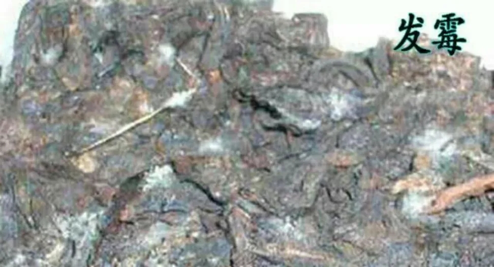 普洱茶受潮怎么處理?