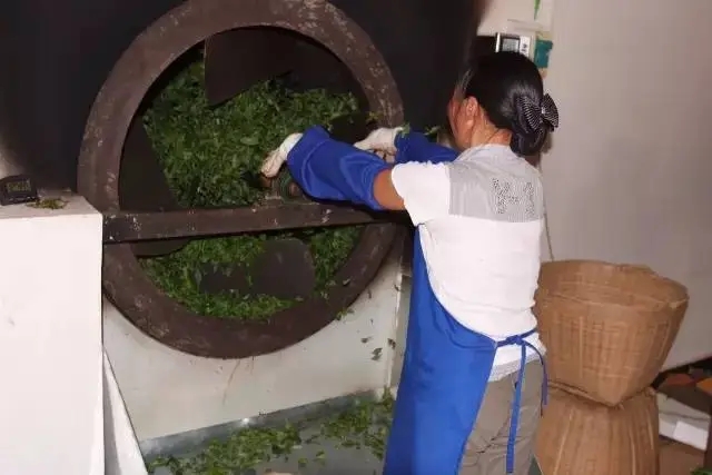 手工殺青與機器殺青的區別！