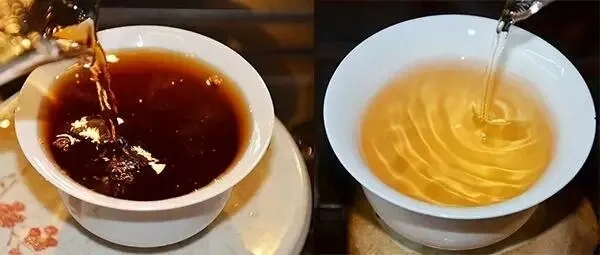 普洱茶湯怎么也會“出油”？
