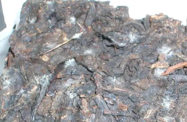 ?普洱茶發霉了怎么辦？教你妙招應對發霉的普洱茶！