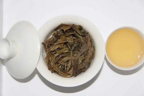 普洱生茶口感怎么樣算好?