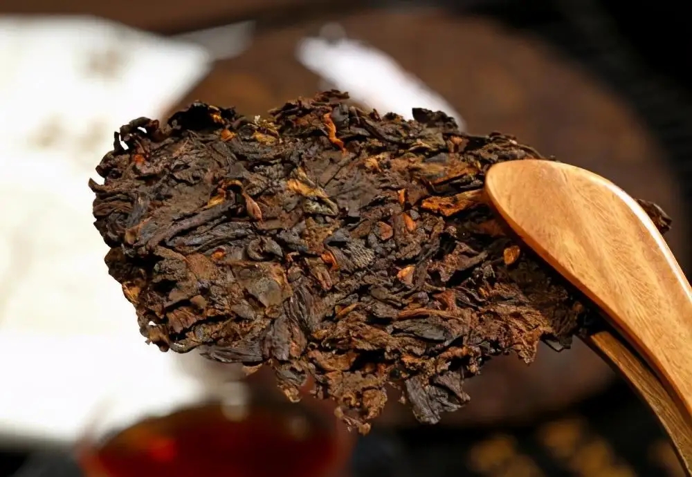 普洱茶生津、回甘、滋味、口感是怎么回事?丨實用