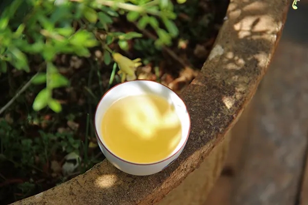 普洱茶越苦澀就代表品質越好嗎?