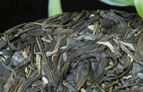 喝普洱茶，一定要喝老茶嗎？