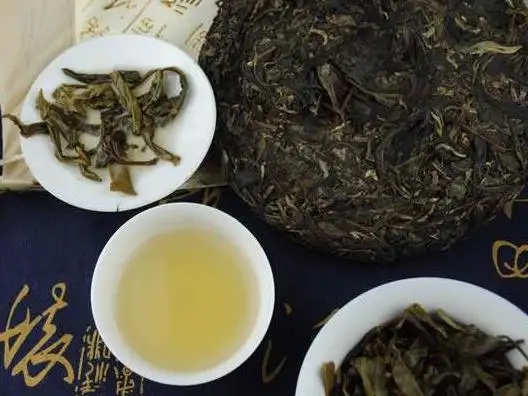喝老茶 藏生茶 探索普洱茶的轉化史