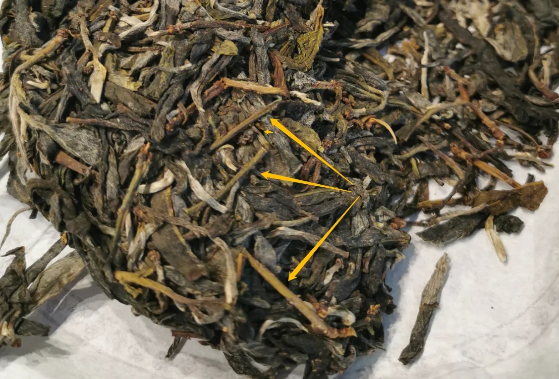 普洱茶的葉底有茶梗，就是茶不好嗎？