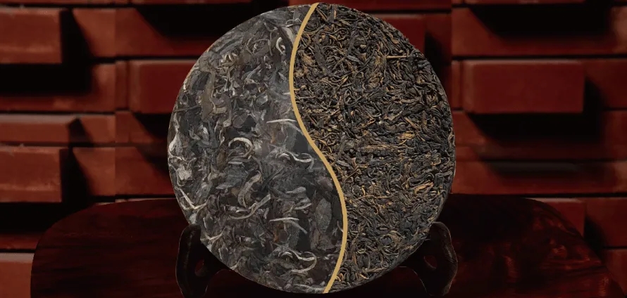 一入普門深似海?入普洱門前,你需要了解這些