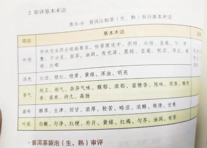 活學(xué)活用 ，一學(xué)就會的普洱茶口感術(shù)語