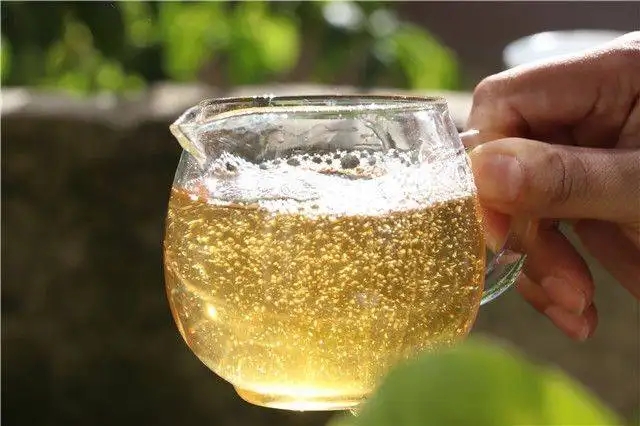 茶顏觀色”,看普洱茶條索里都蘊含著怎樣的“密碼”?