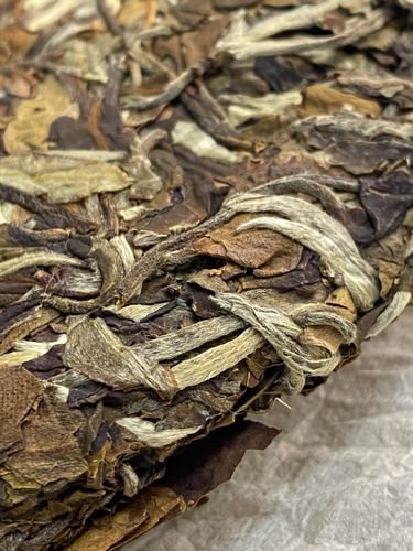 2023年拔瑪老寨古樹春茶特點(diǎn)是什么?