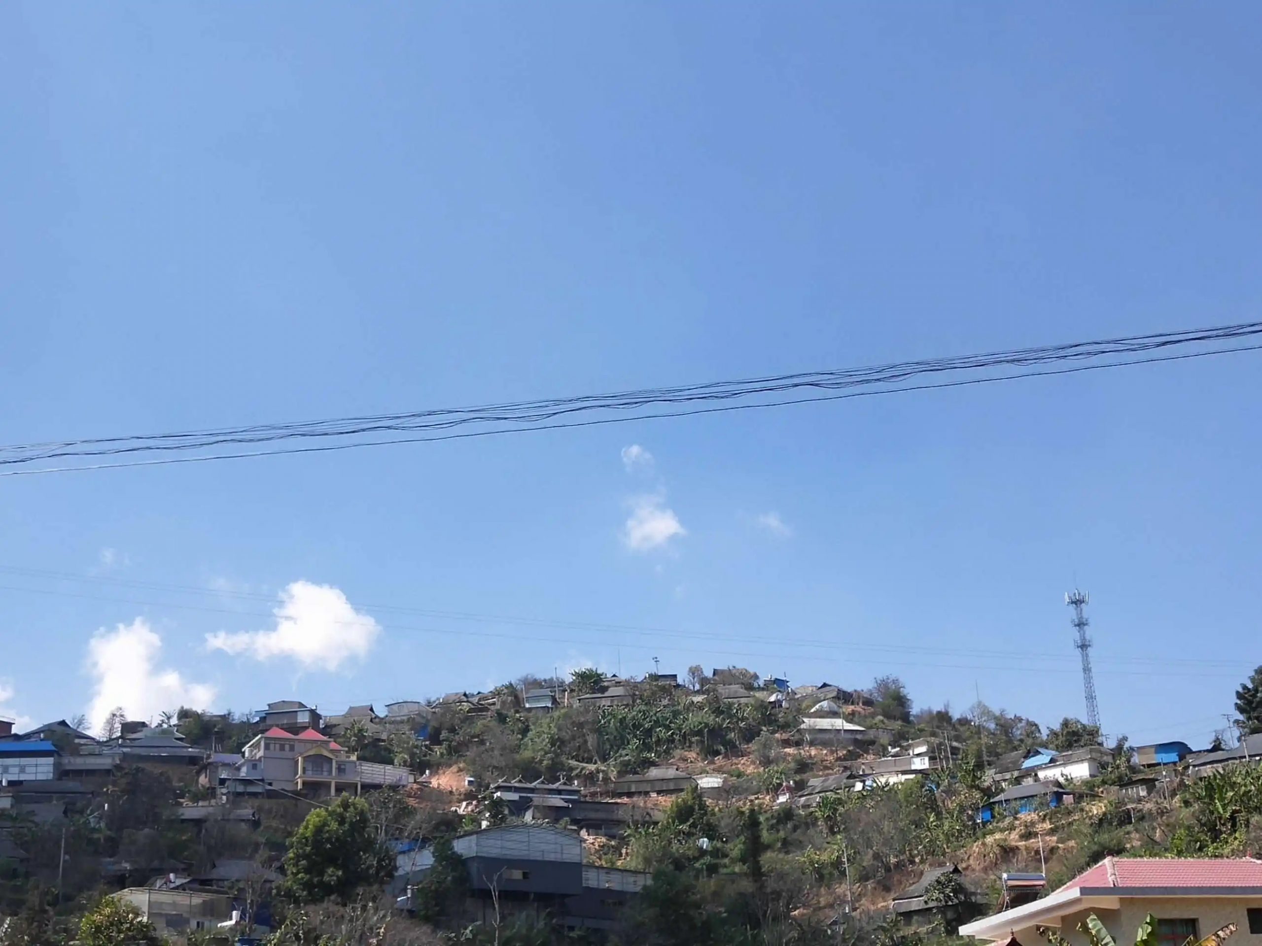 2023帕沙古樹(shù)春茶特點(diǎn)是什么？