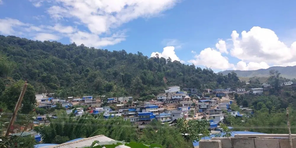 2023年那卡古樹春茶品質如何?