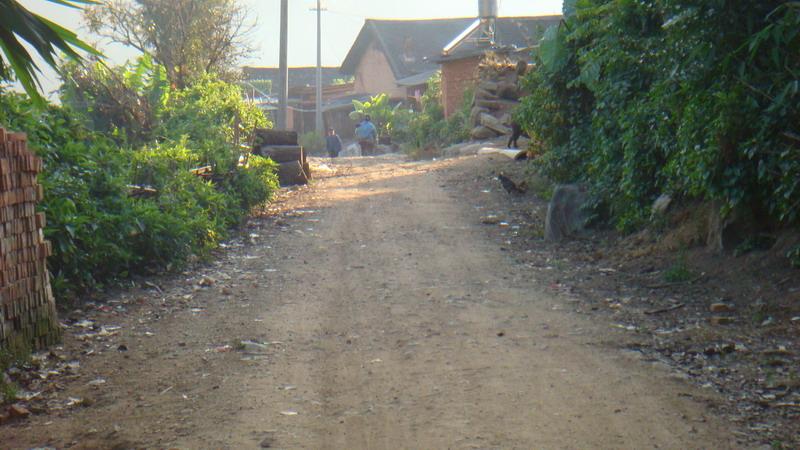 2023年保塘老寨古樹春茶價格是多少？