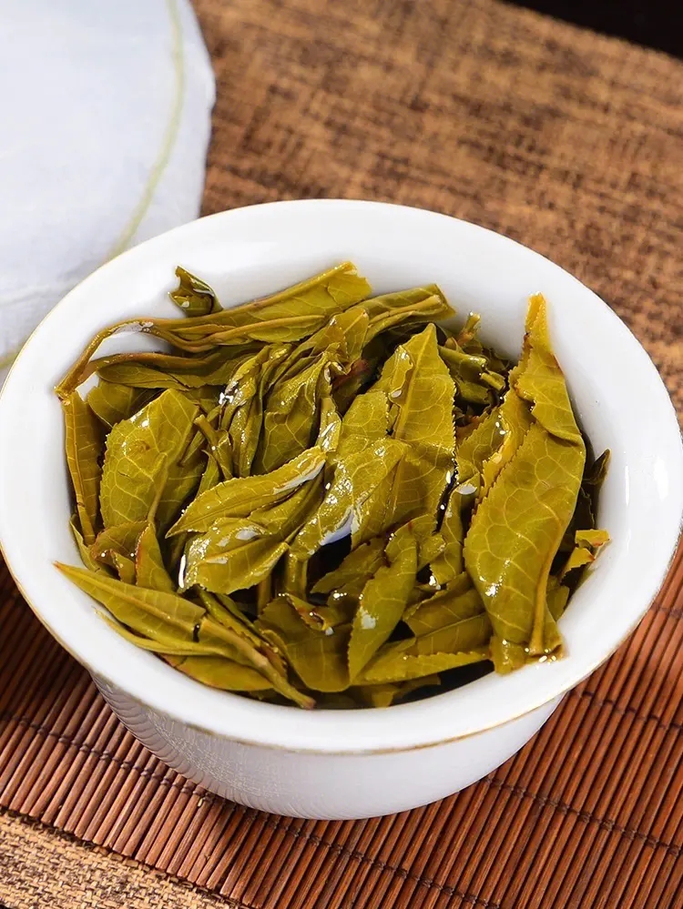 2023白鶯山古樹春茶特點是什么?