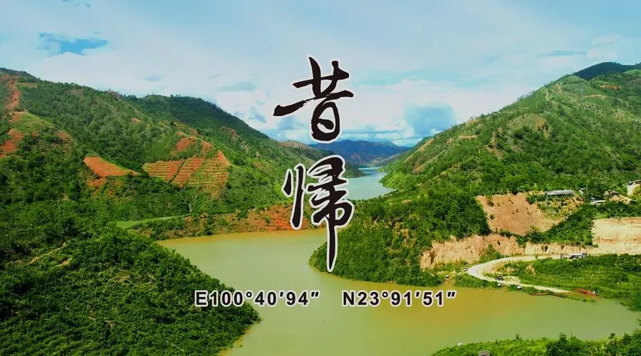 2023年昔歸古樹春茶品質如何?