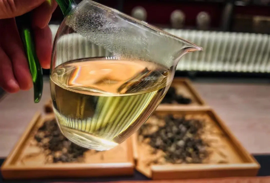 2023年鳳凰窩古樹春茶價格是多少？