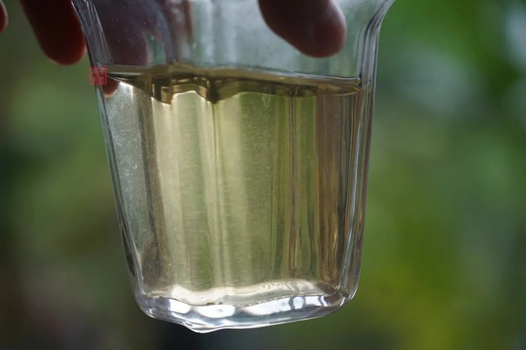 2023年多依樹古樹春茶價(jià)格是多少？