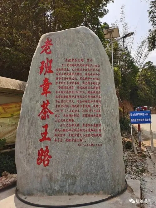 2024年老班章古樹春茶品質如何?