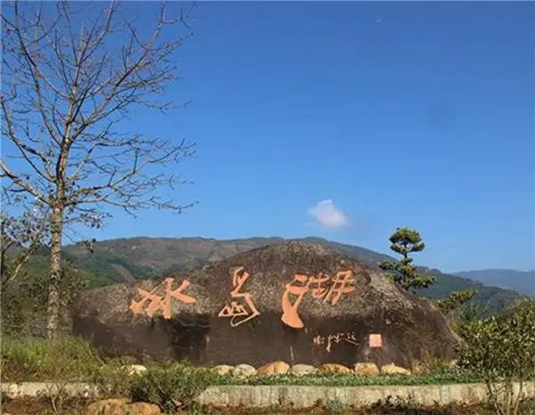 2024年冰島老寨古樹春茶品質怎么樣?