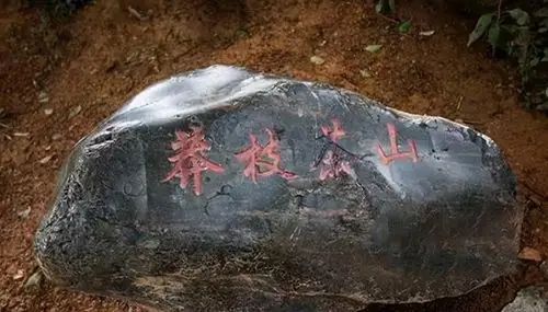 歷經繁華后寂寂無名的古茶山——莽枝